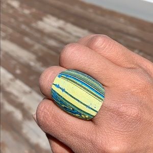 Wood painted ring
